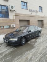 IMG_1216.jpeg