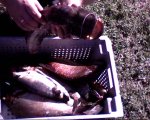 IMG0073A.jpg